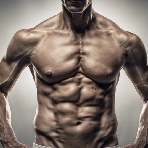 5 Exercícios Simples para Fortalecer o Abdômen (Ideal para Iniciantes)